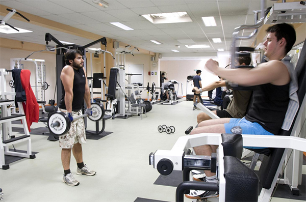 salle-musculation