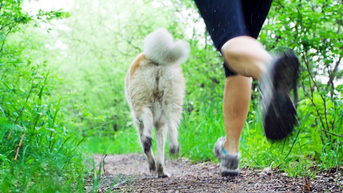 courir_avec_son_chien