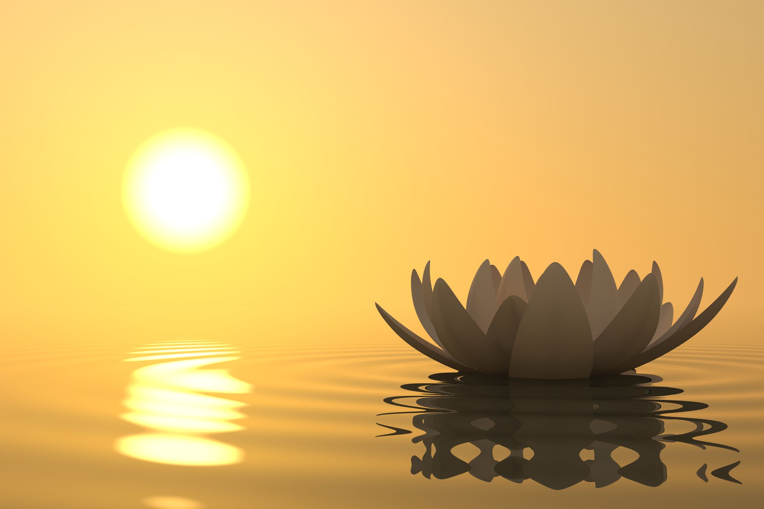 meditation.jpg.pagespeed.ce.GexEZ8tEh3