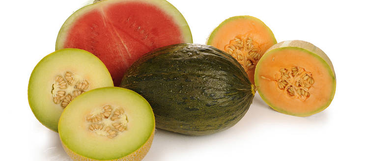 alimentation