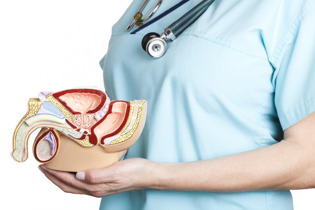 prostate