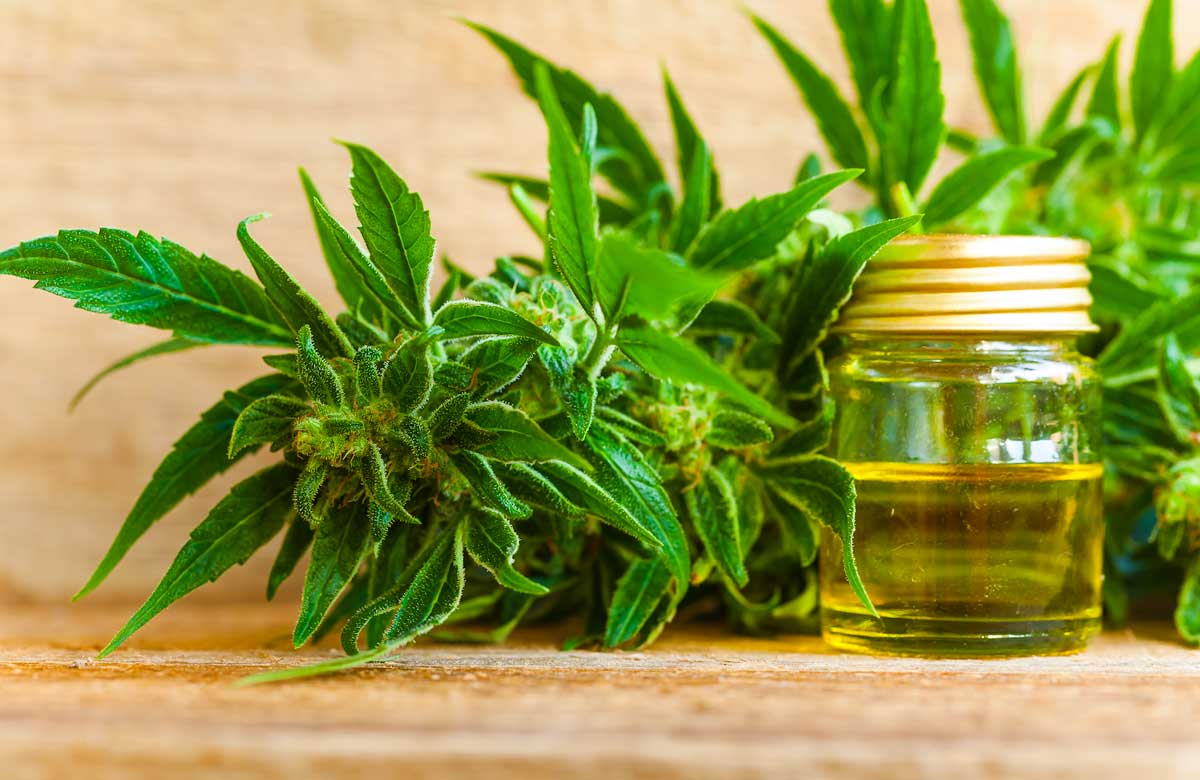 cannabis medical