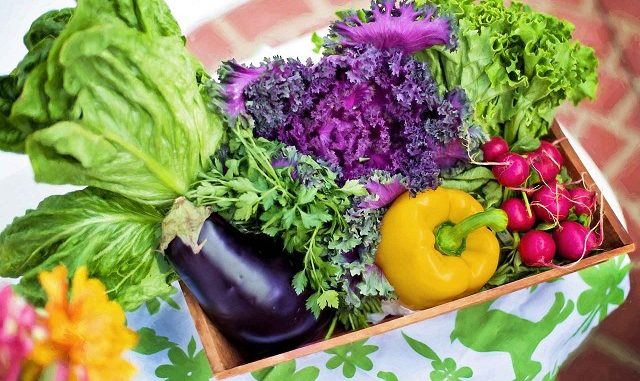 Santé : Les 5 avantages d'une alimentation équilibrée Santé : Les 5 avantages d'une alimentation équilibrée