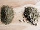 Propriétés et avantages du Yerba Mate